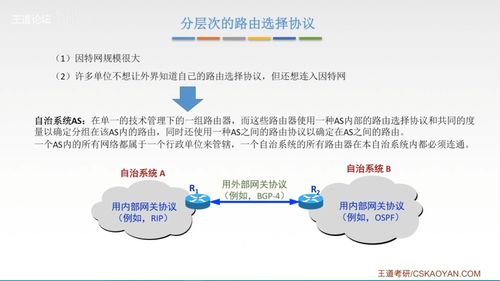 计算机网络知识点汇总 王道