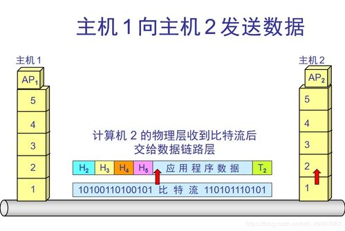 计算机网络概述 连接数字世界的基石