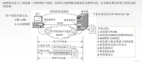 计算机网络体系结构 聚焦应用层的作用与意义